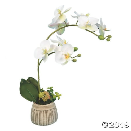 vickerman
