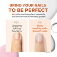 thumbnail image 6 of Modelones Nail Strengthener Ridge Filler for Nails White Nail Polish Nail Repair for Thin and Damaged Nails Growth Treatment 15ml, 6 of 10