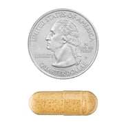 Spring Valley Fenugreek Dietary Supplement Vegetarian Capsules for General Wellness, 610 mg, 100 Count