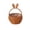 Coffee, variant on geerera Woven Easter Basket with Bunny Ears Handle Plastic Liner for Easter Egg Hunt Party Favor Gift Storage Home Decor