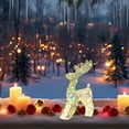 thumbnail image 4 of Lighted Reindeer Christmas Decor, LED Light Up Reindeer Family for Outdoor Garden and Indoor Holiday Displays, Iridescent Yard Decorations(A), 4 of 6