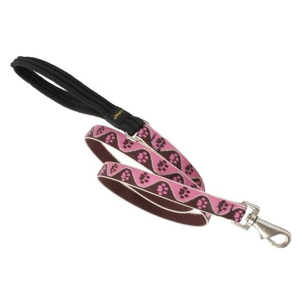 Lupine Collars and Leads 54309 3/4" x 6' Tickled Pink Lead