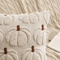 thumbnail image 2 of Fall Pumpkin Plush Pillow Covers 18x18, Faux Fur Decorative Pillow Cases for Couch, Halloween Decor for Living Room Bedroom, 2 Set, Beige Brown Stem, 2 of 7