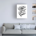 thumbnail image 3 of Sara Zieve Miller 'Ink Flower I' Canvas Art, 3 of 4
