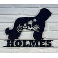 thumbnail image 5 of Craftnamesign Personalized FLoral Briard Metal Wall Art LED Light, Custom Flower Dog Lover Decor, 5 of 5
