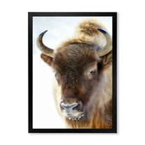 Designart 'Close UP Of Wild Bison' Farmhouse Framed Art Print