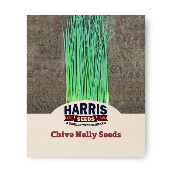 Harris Seeds - Chive Nelly Organic Variety Seeds - 250 Seeds