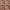 Brick Red, variant on oneOone Polyester Spandex Light Pink Fabric Asian Floral Fabric For Sewing Printed Craft Fabric By The Yard 56 Inch Wide