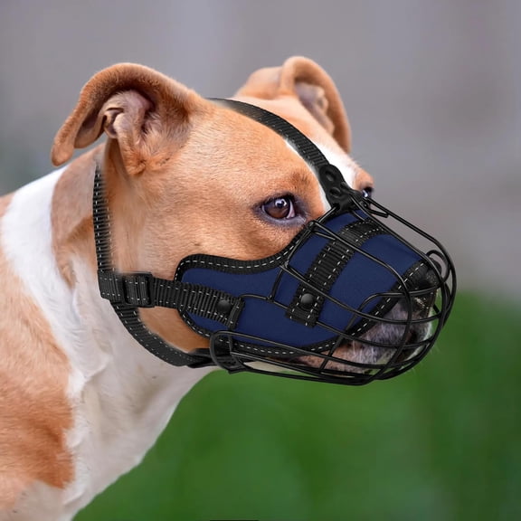 Blue Reflective Metal Wire Basket Muzzle for Pitbull - Soft Adjustable Nylon Strap - Prevents Biting/Chewing - Ideal for Large Dogs