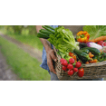 thumbnail image 4 of 24 Assorted Vegetable & Herb Seed Packets – Garden Starter Variety Pack (Lettuce, Cucumber, Broccoli & More), 4 of 8