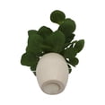 thumbnail image 7 of Mainstays 11-Inch Artificial Peperomia Plant in White Ribbed Glazed Ceramic Pot, 7 of 7