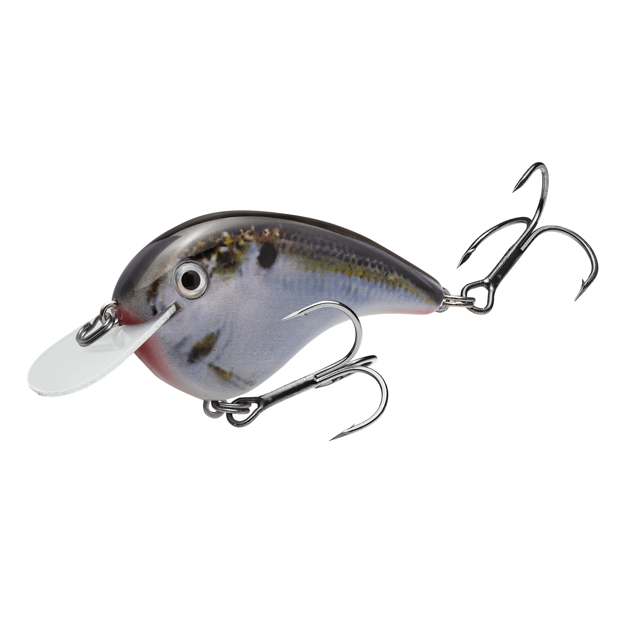 Strike King Chick Magnet Flatside Crankbait Fishing Lure Natural Shad