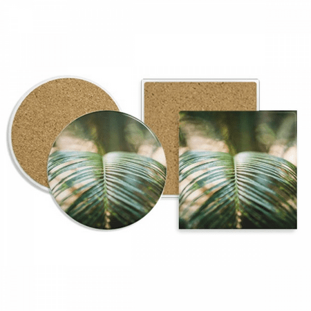 

Green Picture Nature Coaster Cup Mug Holder Absorbent Stone Cork Base Set