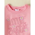 thumbnail image 3 of Binshrliy Baby Girl Fall Tracksuit Outfits Set Clothes 6M 12M 18M 24M 3T 4T Kids Girl Long Sleeve Flower Embroidery Sweatshirt Tops Sweatpants 2Pcs Casual Autumn Clothing for Toddler Girls, 3 of 6