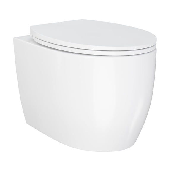 Classe Wall-Hung Elongated Toilet Bowl