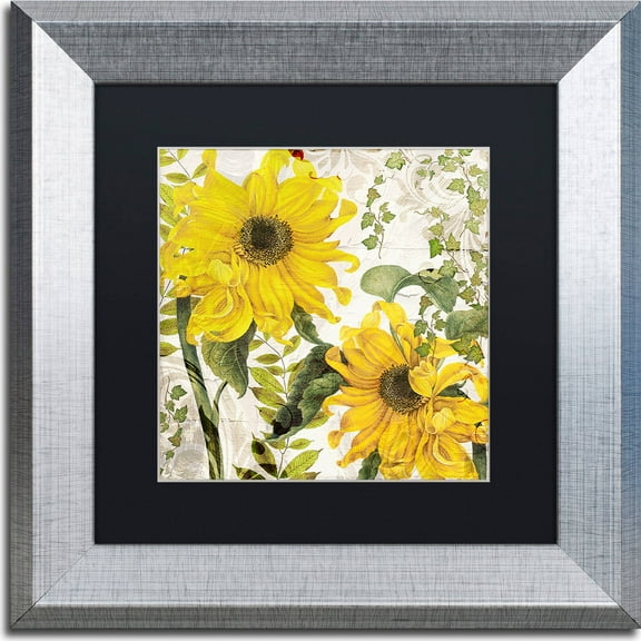 Trademark Fine Art "Carina I" Canvas Art by Color Bakery, Black Matte, Silver Frame