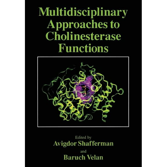 Multidisciplinary Approaches to Cholinesterase Functions, (Paperback)