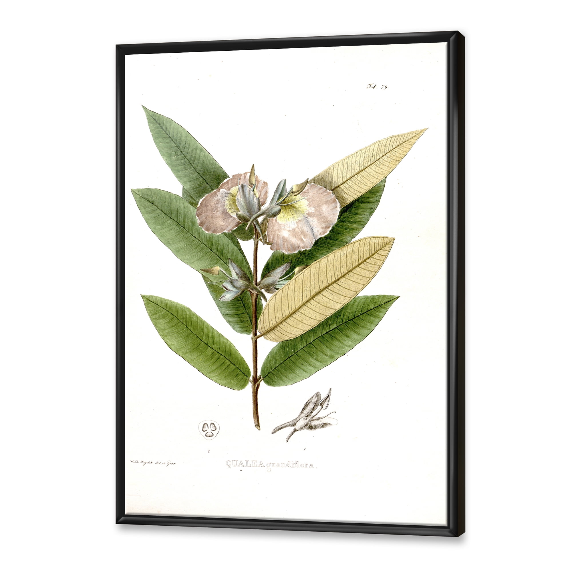 Designart 'Ancient Blossoming Flower II' Traditional Framed Canvas Wall Art Print