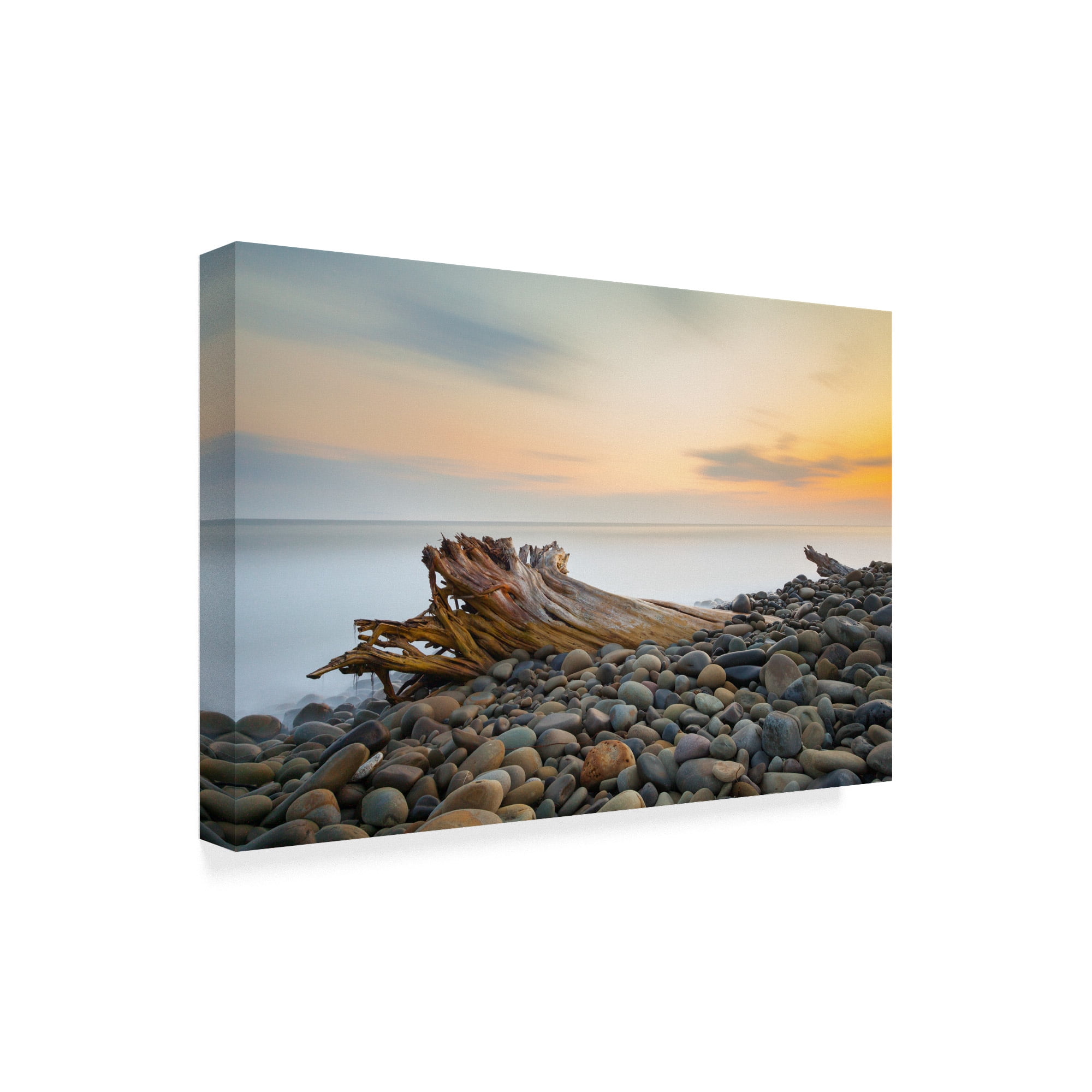 Trademark Fine Art 'Covered Stones' Canvas Art by Chris Moyer