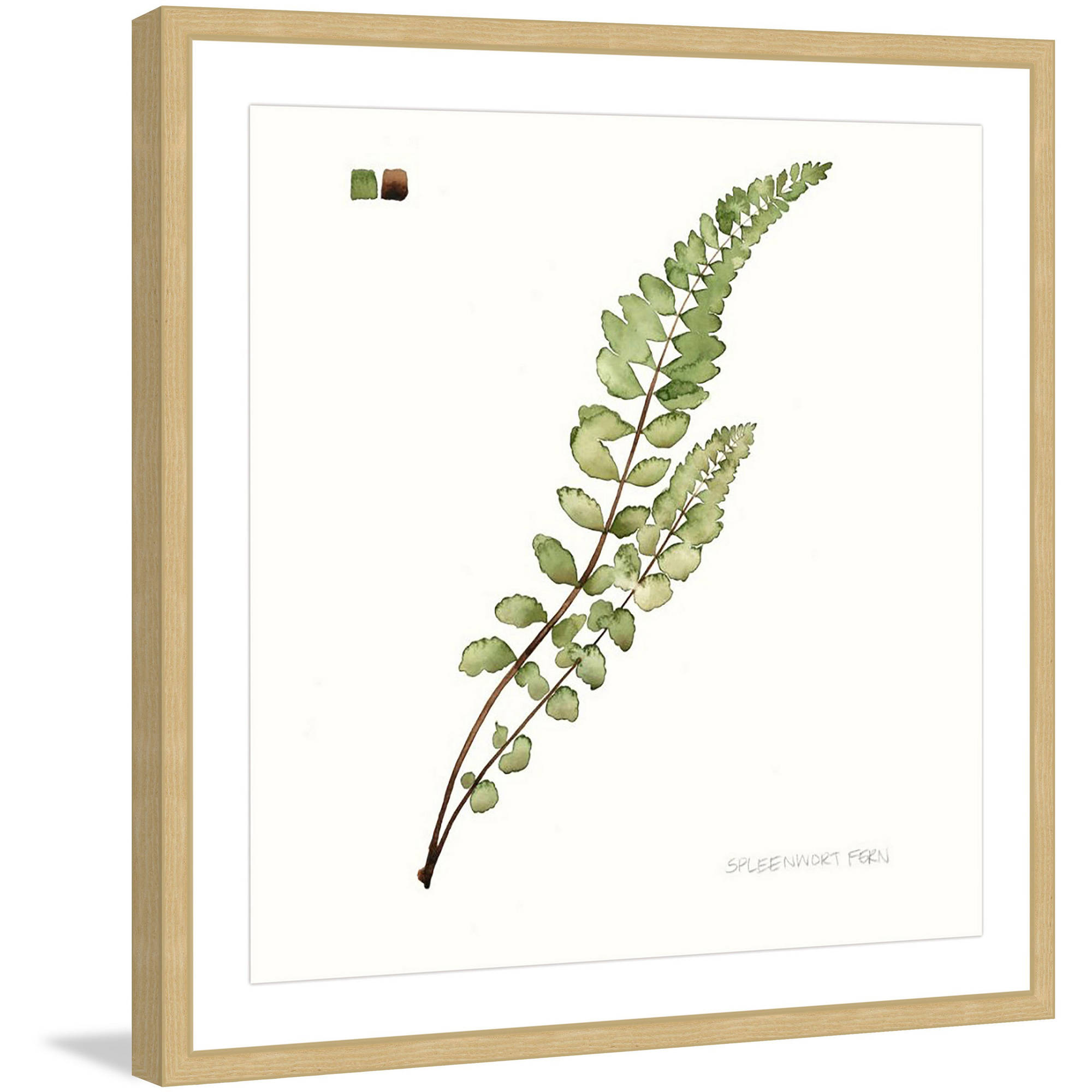 Marmont Hill "Leaf Study I" Framed Painting Print