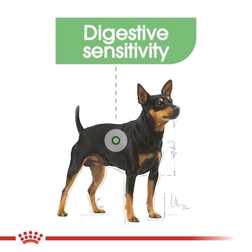Royal Canin Digest Sensitive Dog Wet Food in GRAVY 12x85g