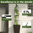 thumbnail image 5 of 6ft Garden Obelisk Trellis for Climbing PlantsRustproof Metal Pipe with Heavy Duty PlasticCoated, Garden Outdoor Indoor Potted PlantSupport for Clematis Vine Jasmine Support(Black), 5 of 6
