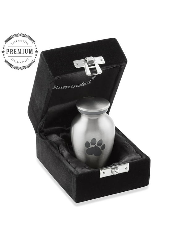 Pet Urn for Dog & Cat Ashes - Cremation Memorial Extra Small Silver Urn