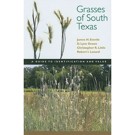Grasses of South Texas : A Guide to Identification and