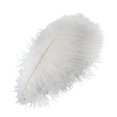 thumbnail image 4 of EIMELI 10pcs White Natural Ostrich Feathers for Party  Wedding  Masquerade and Home Decorations  Crafts, 4 of 10