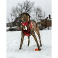 thumbnail image 5 of Pet Life ® 'Geo-prene' 2-in-1 Shock Absorbing Neoprene Padded Reflective Dog Leash and Harness, 5 of 5