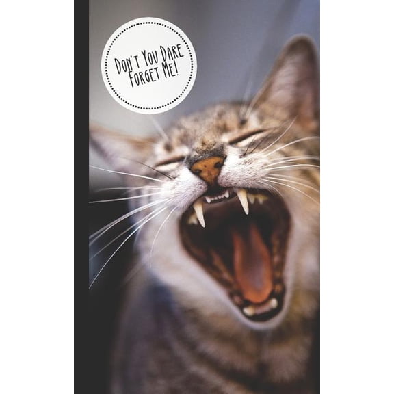 Don't You Dare Forget Me!: Discreet Internet Password Keeper Store Websites, Usernames, Passwords Funny Gift Kitten/Cat , (Paperback)