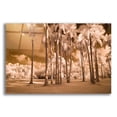 thumbnail image 1 of Epic Art 'Florida Palms' by Jadei Graphics, Acrylic Glass Wall Art, 16"x12", 1 of 8