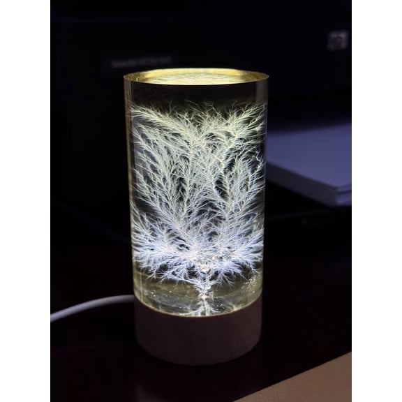 Frozen Lightning / Lichtenberg Figure 2" x 3" Cylindrical Acrylic Desk Sculpture