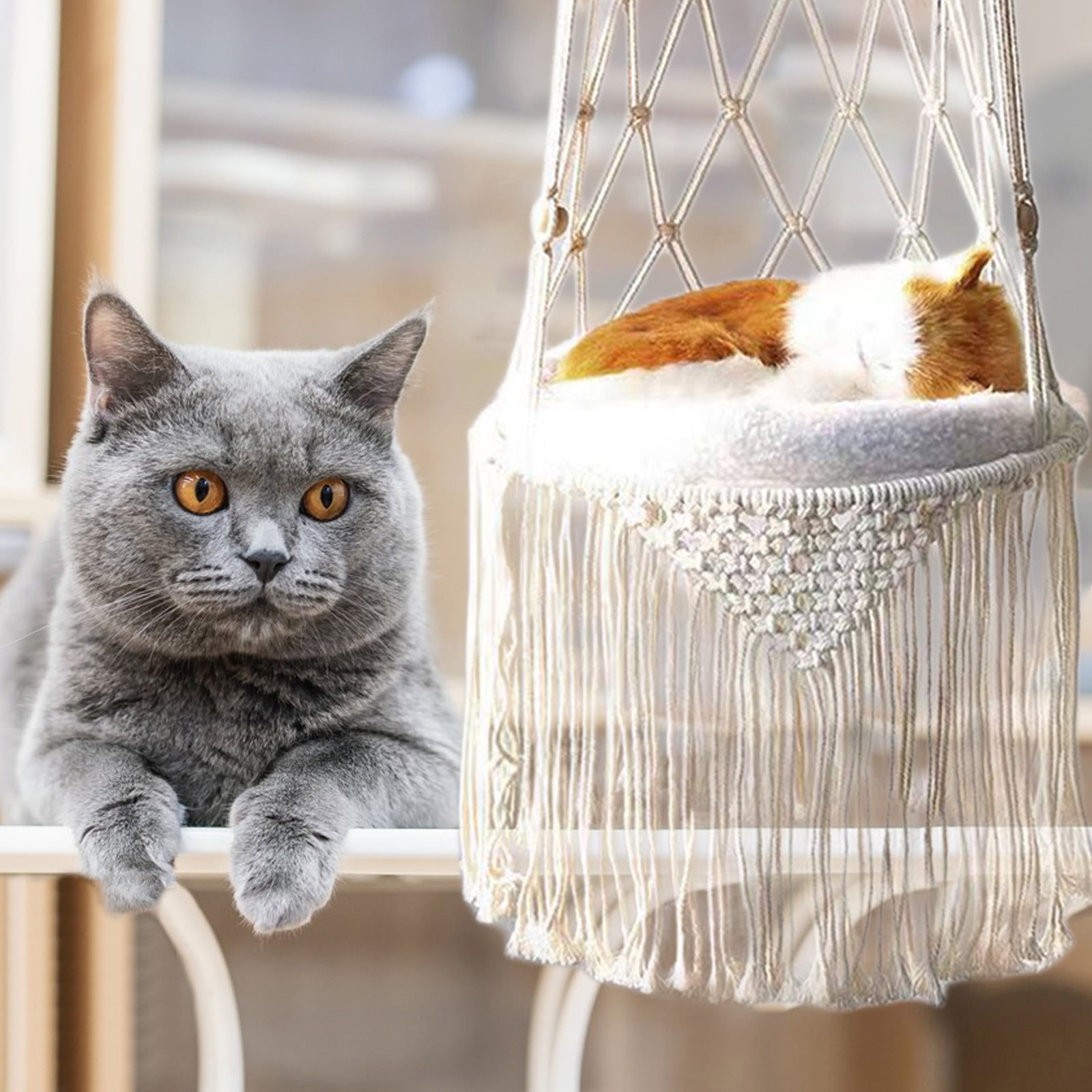 Cat Window Hammockcats Bed Cats Hammocks Window Perches Safe Cats