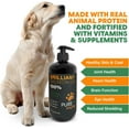 Pure Ng 100 Brilliant Salmon Oil (16oz) Skin & Coat Supplement for
