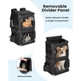 thumbnail image 2 of Double-Compartment Pet Carrier Backpack for Small Cats and Dogs, Cat Travel Carrier for 2 Cats, Perfect for Traveling/Hiking/Camping, 2 of 9