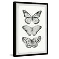 thumbnail image 2 of Marmont Hill Butterfly Trio II Framed Wall Art, 2 of 6