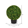 thumbnail image 2 of Vickerman 20" Artificial Green Boxwood Ball., 2 of 3