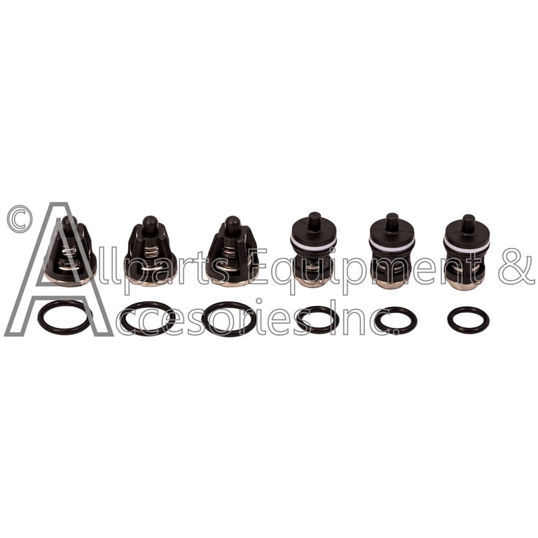 7109627 Simpson Cleaning Check Valve Repair Kit – Set Of 6 For AAA EW4040 / 7109267 Pressure Washer Pump