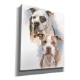 thumbnail image 2 of Epic Graffiti 'Sparkle and Buster' by Barbara Keith, Canvas Wall Art, 20"x24", 2 of 8