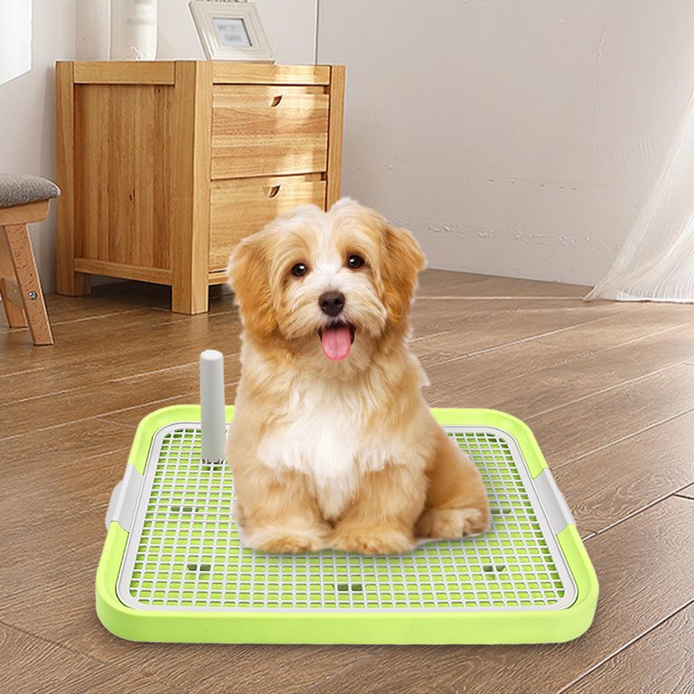 Pets Indoor Dog Potty Puppies Small Dogs Cats Puppy Pad Holder Tray GREEN -  NEW