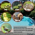 thumbnail image 5 of Samovi Pool Animal Saving Escape Ramp, Frog Saver for Swimming Pool Critter, Rescue for Frog, Toads, Lizards, Ducks, Snakes, Squirrel, Chipmunk, Mice, Reduces Pool Maintenance Accessories (2PCS), 5 of 7