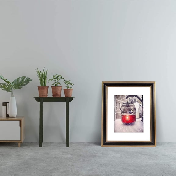 16x20 Picture Frame with Mat - Ornate Gold/Black