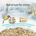 thumbnail image 4 of Birdfy Smart Bird Feeder with Camera, 1080P Wide-Angle Camera for Real-Time Bird watching, Pro DIY Add-ons Hummingbird Feeder Suet Ball Jelly Feeder for All Birds, 4 of 11