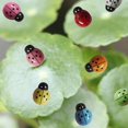 thumbnail image 6 of 100Pcs Mini 3D Plastic Ladybug Miniature Fairy Garden Accessories, Miniature Garden Houses and Figurines DIY Micro Landscape Ornaments for Garden Dollhouse Potted Plant, 6 of 8
