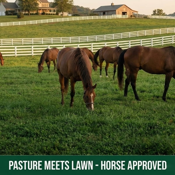 Old Cobblers Farm™ Wicked Tuff Turf Grazing Lawn Mix	Horse Lawn (5 lbs | 10 lbs | 15 lbs | 20 lbs) (15lbs)