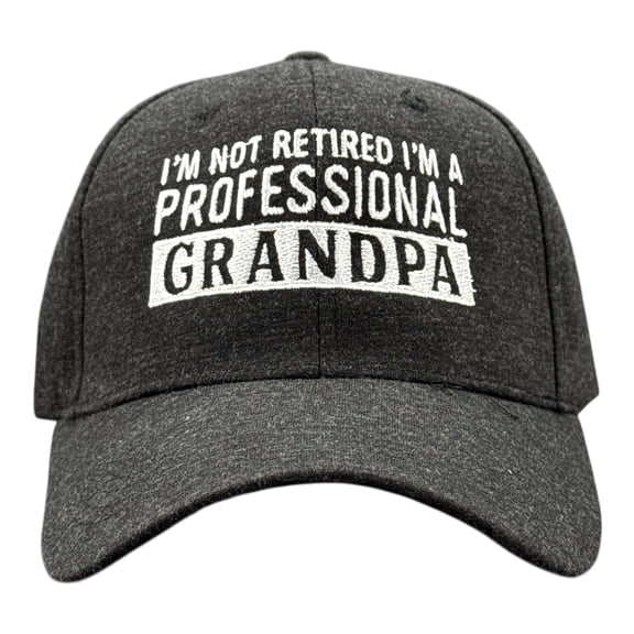 Im Not Retired Im A Professional Grandpa Hat Funny Papa Fathers Day Baseball Cap