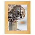 thumbnail image 5 of ArtToFrames 16" x 24" Metallic Gold Picture Frame, 16x24 inch Gold MDF Poster Frame (WOM-4500), 5 of 8