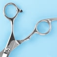 thumbnail image 6 of Oneisall YP-7268 5-Speed Cat Grooming Clippers Replacement Scissor, Silver, 6 of 6