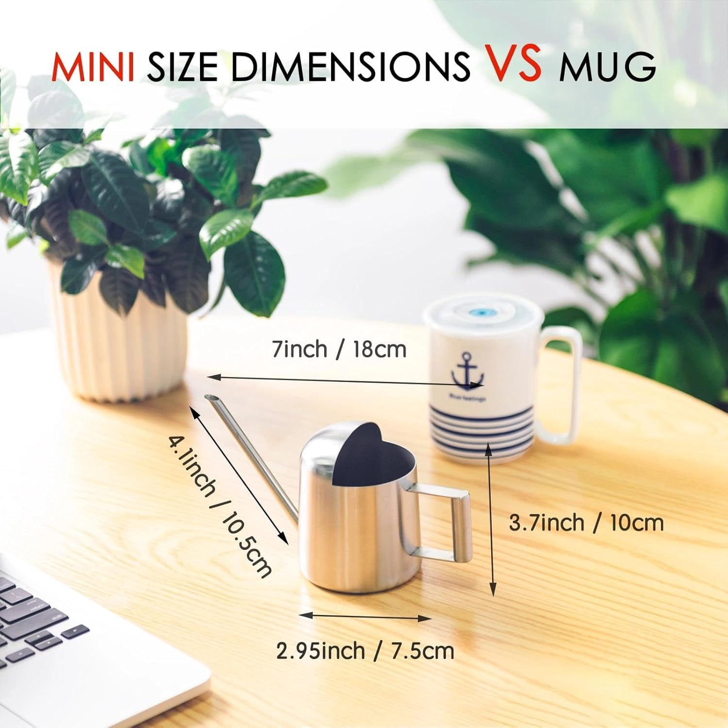 Tiny Watering Can for Indoor Plants Bonsai Tree Stainless Steel Small Succulents, 11oz/300ml